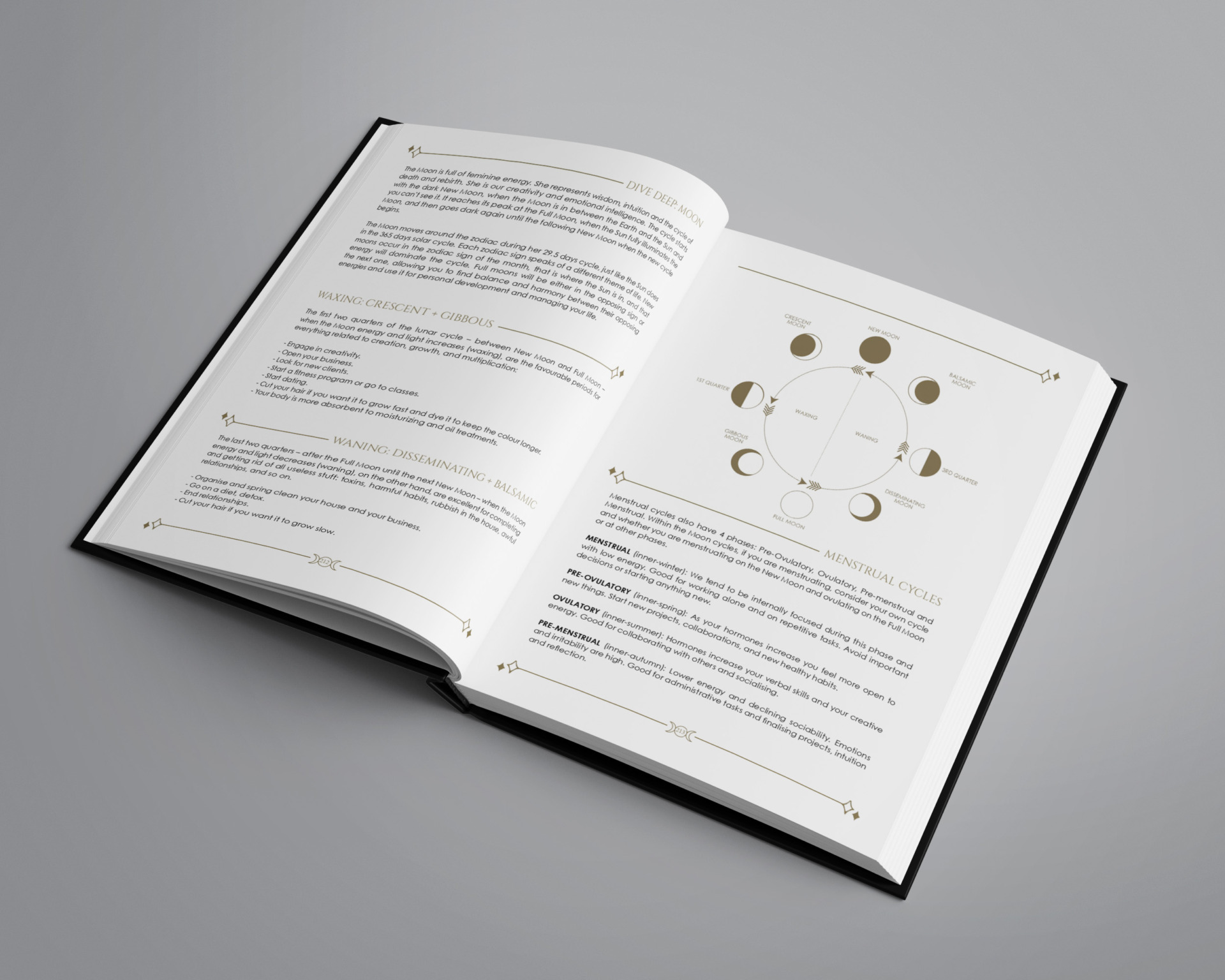 Cosmoplanner 2023 Information Moon cycles