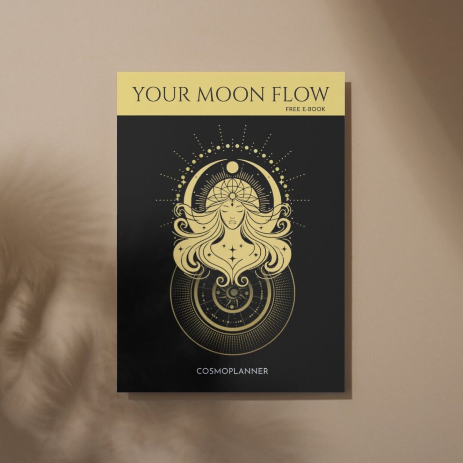 Moon Flow 2025