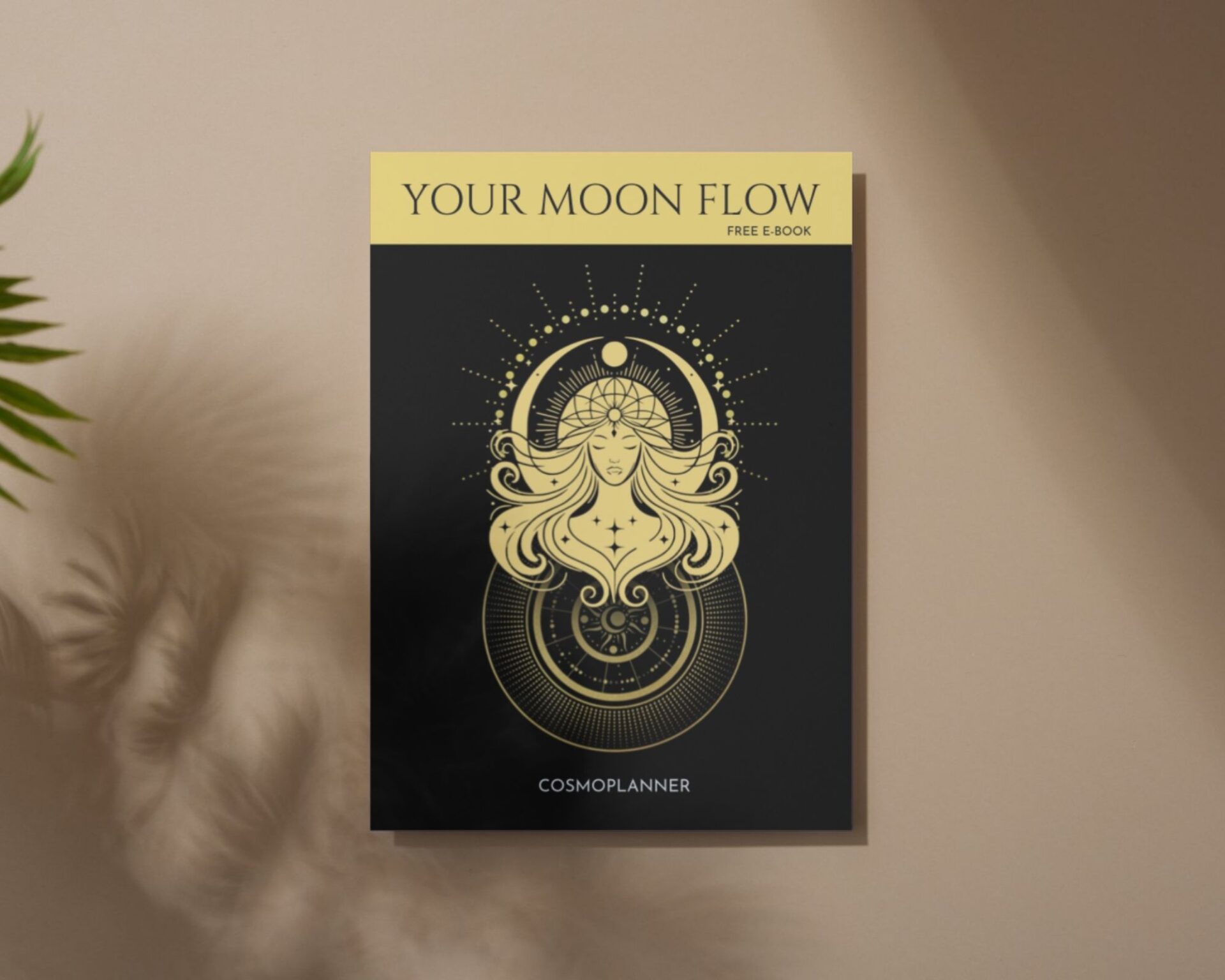 Cosmoplanner 2025 Moon Planner Cover Detail