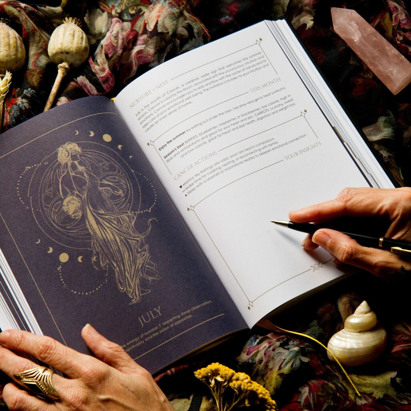 Cosmoplanner 2026 Astrological Planner