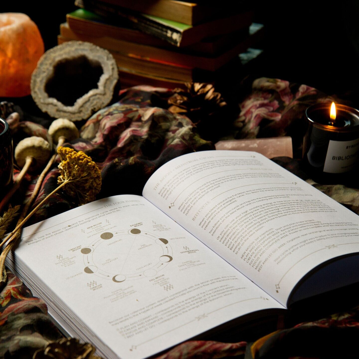 Cosmoplanner Moon Cycle Planner