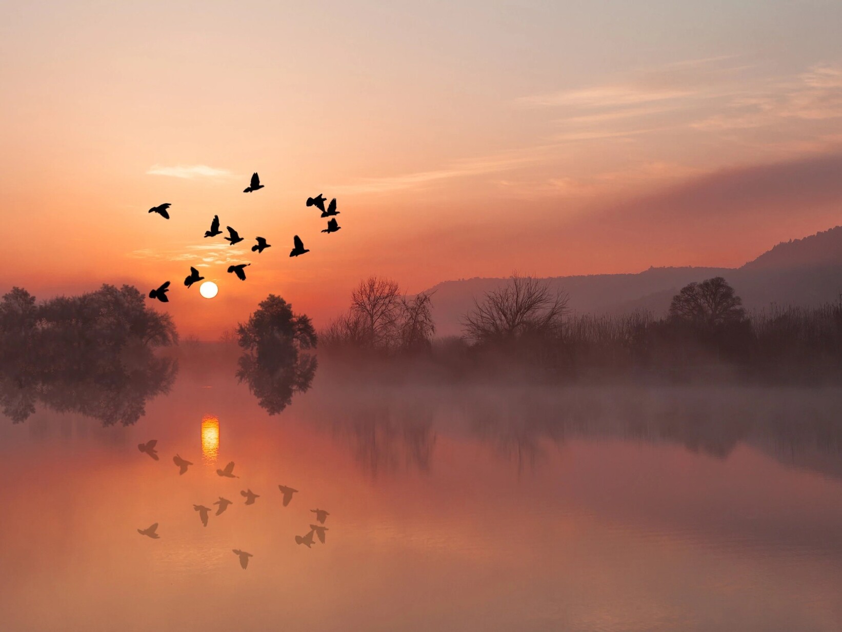 Cosmoplanner - Autumn equinox and the art of balance