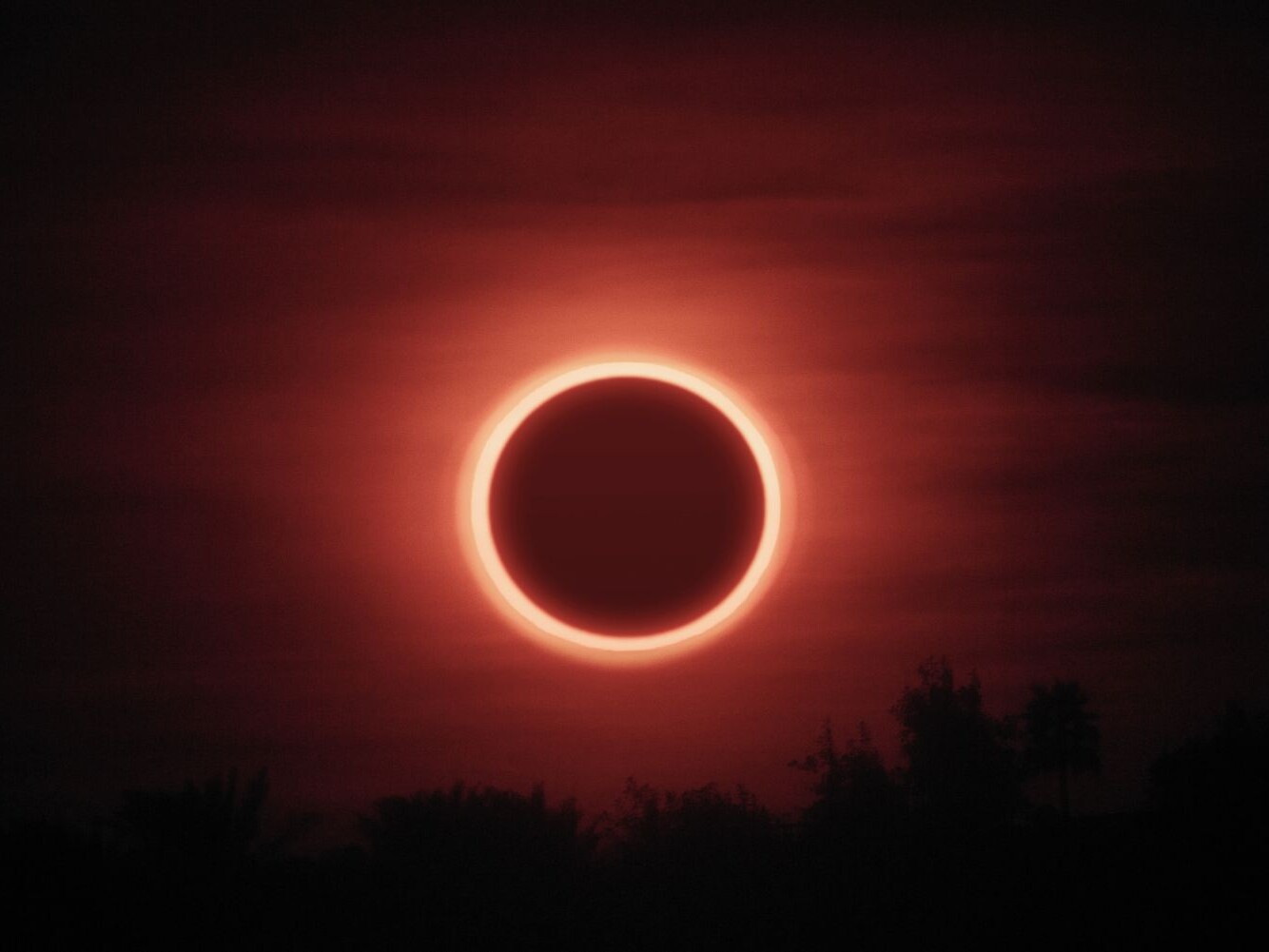 Cosmoplanner February 2026 New Moon