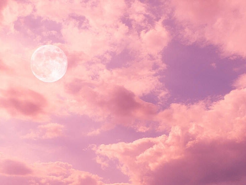 Cosmoplanner - Full Moon Capricorn