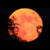 Full Moon In ARIES September 2023