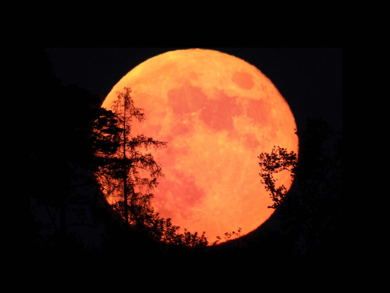 Cosmoplanner Full Moon in Aries September 2023