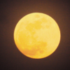 Full Moon In GEMINI November 2023