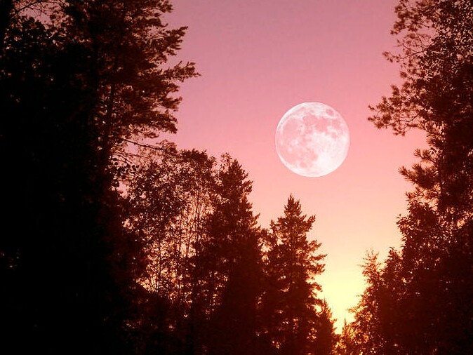 Cosmoplanner - Full Moon in Libra