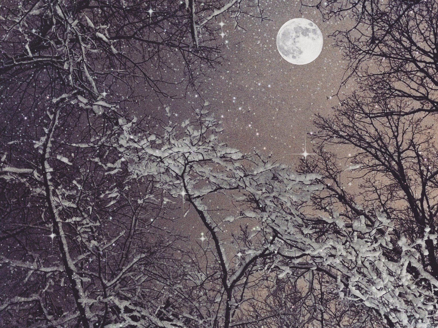 Cosmoplanner - Full Moon Virgo