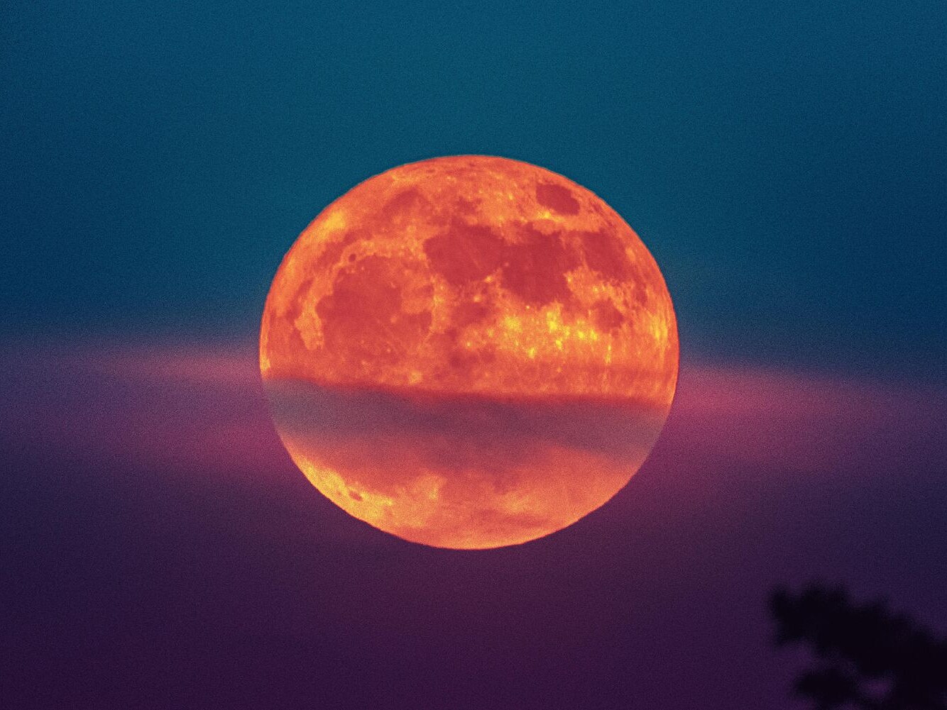 Cosmoplanner January 2025 Full Moon In Cancer