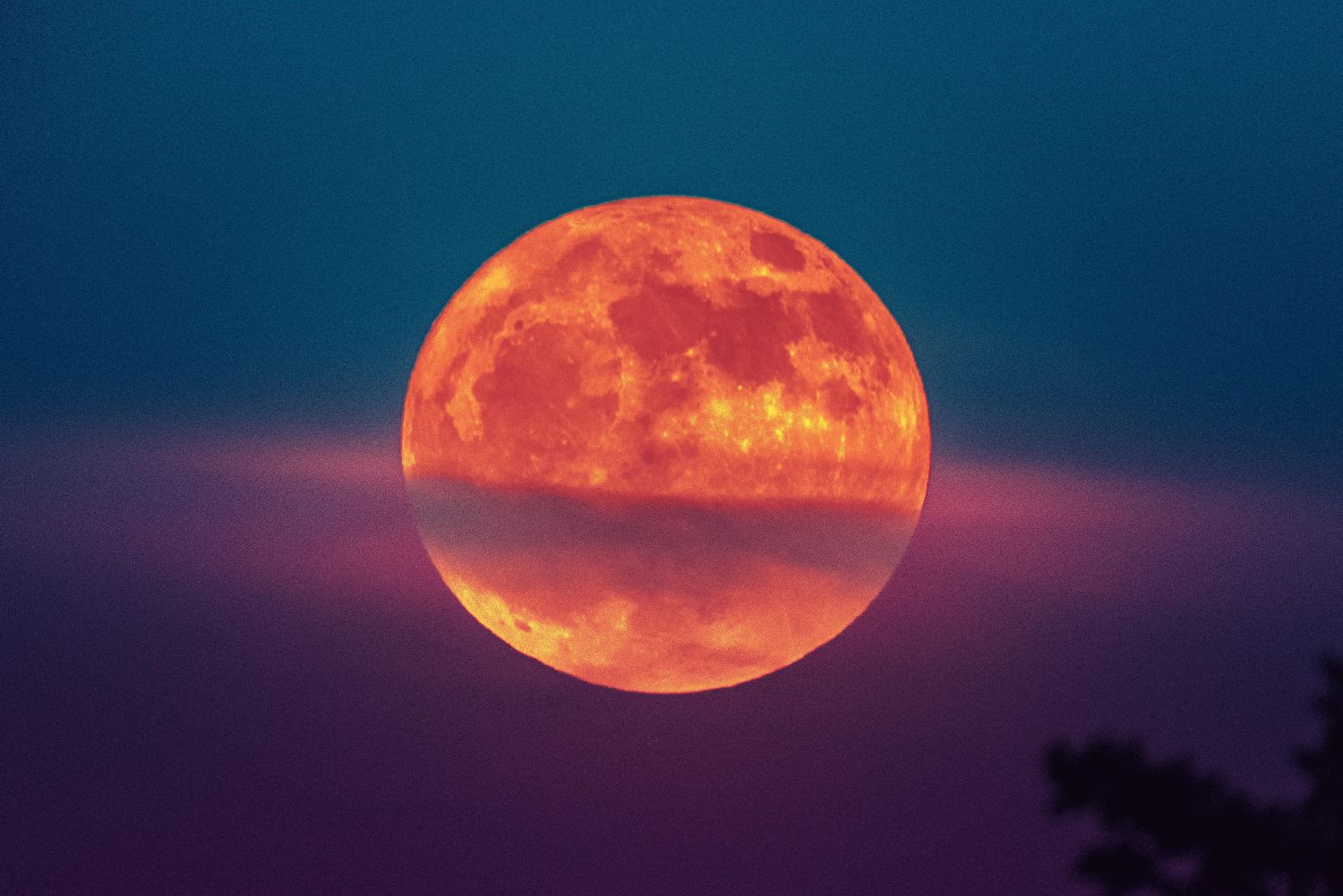 January 2025 Full Moon in Cancer | Cosmoplanner – The Creative Planner