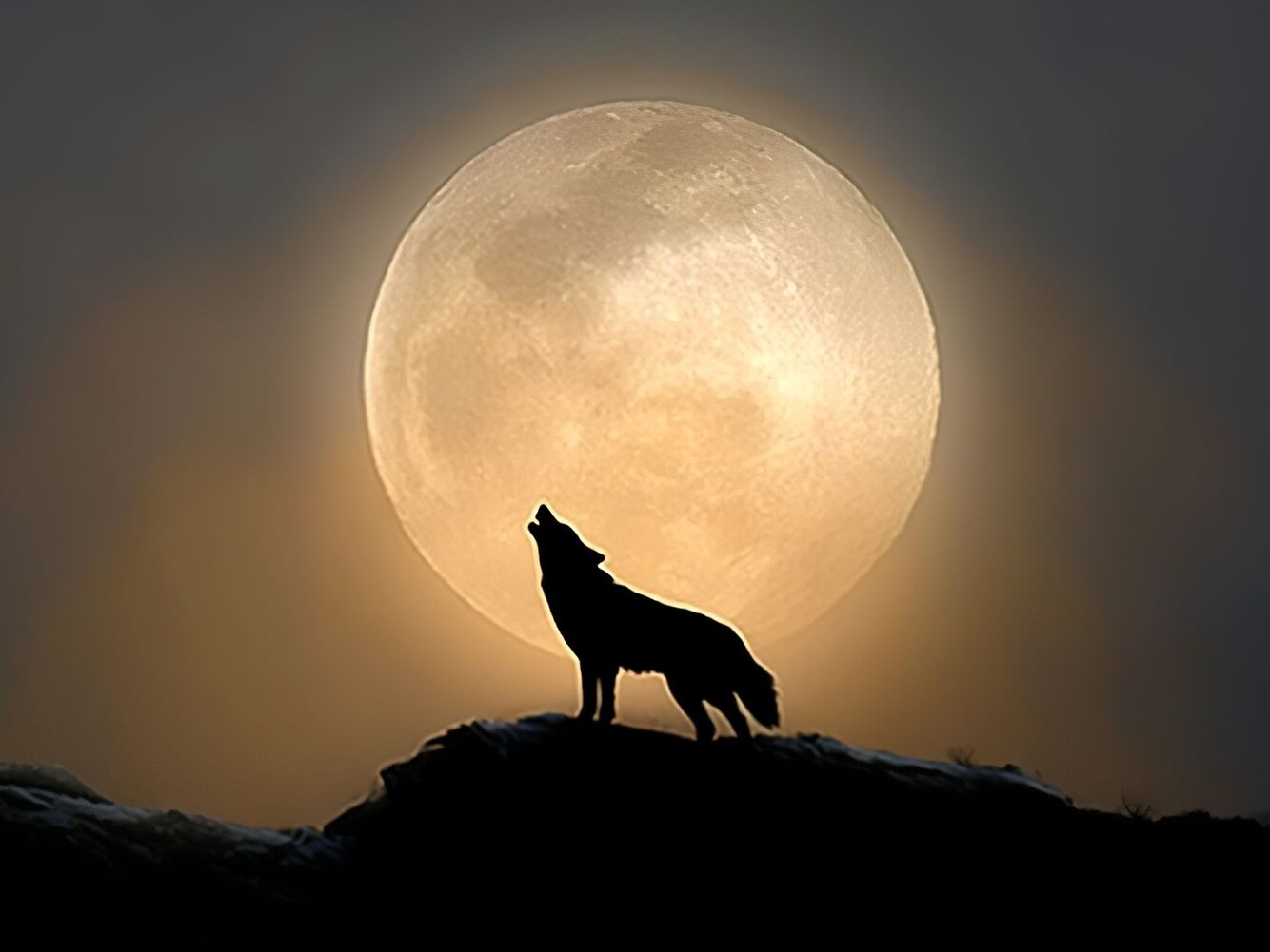 Cosmoplanner January 2026 Full Moon in Cancer