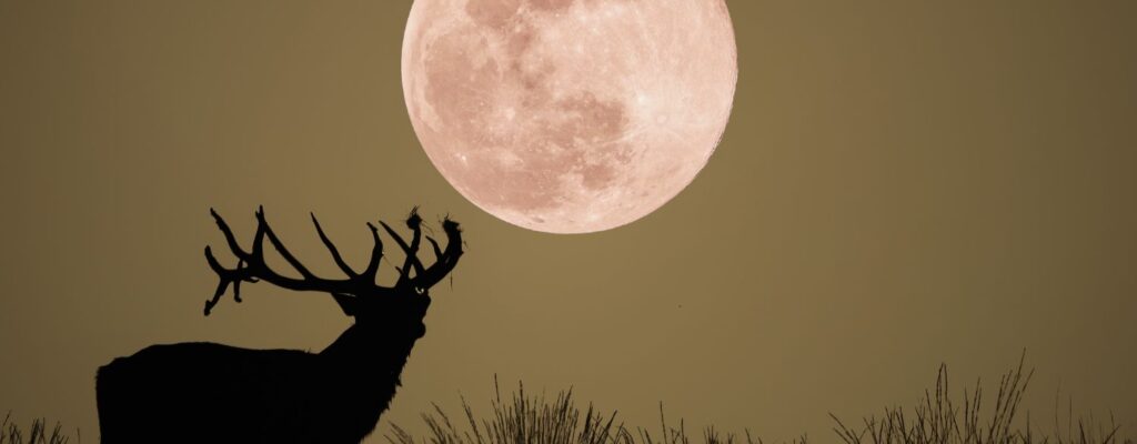 Cosmoplanner July 2025 Full Moon in Capricorn