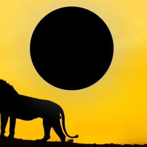Cosmoplanner July 2025 New Moon in Leo