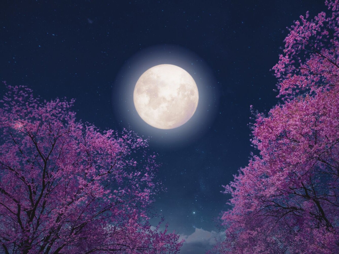 Cosmoplanner May 2026 Full Moon in Scorpio