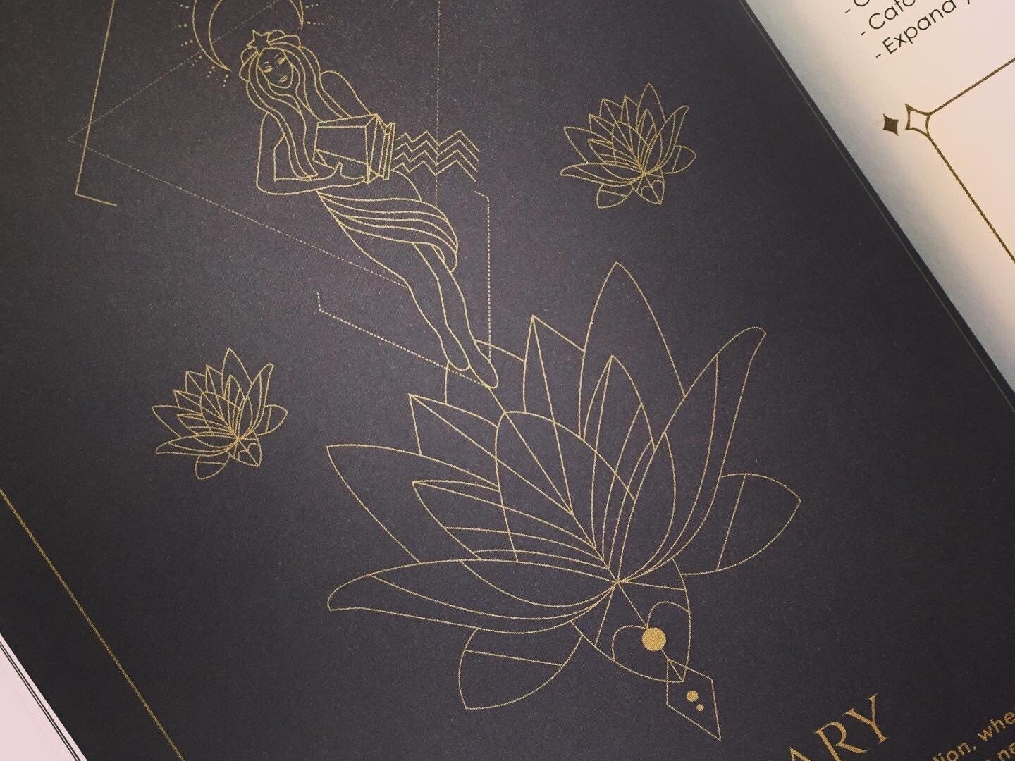 Cosmoplanner - New Moon Aquarius
