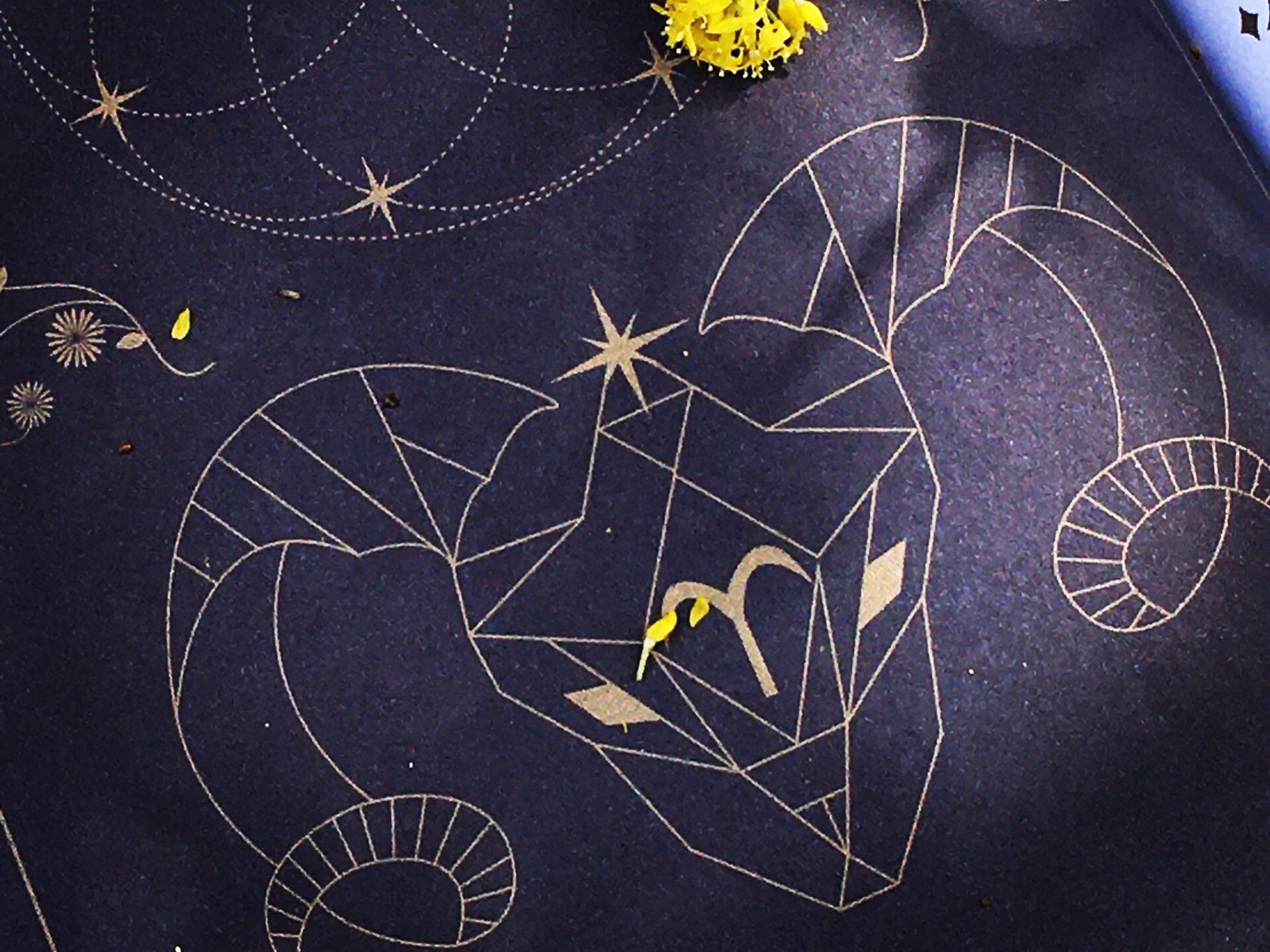 Cosmoplanner - New Moon Aries