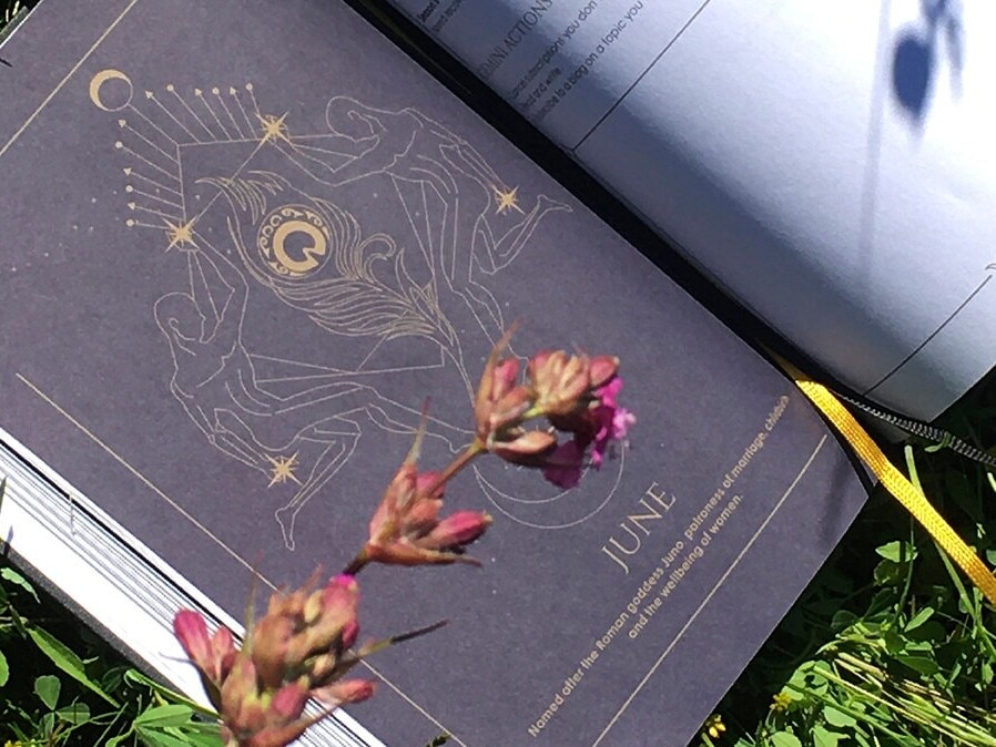 Cosmoplanner - New Moon Gemini