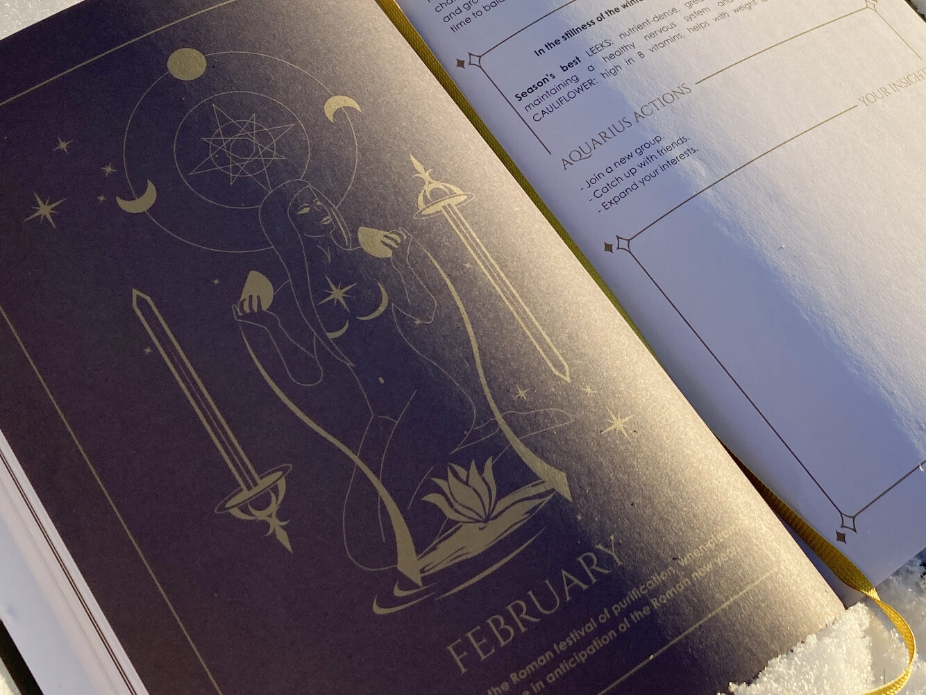Cosmoplanner - New Moon In Aquarius- February 2022