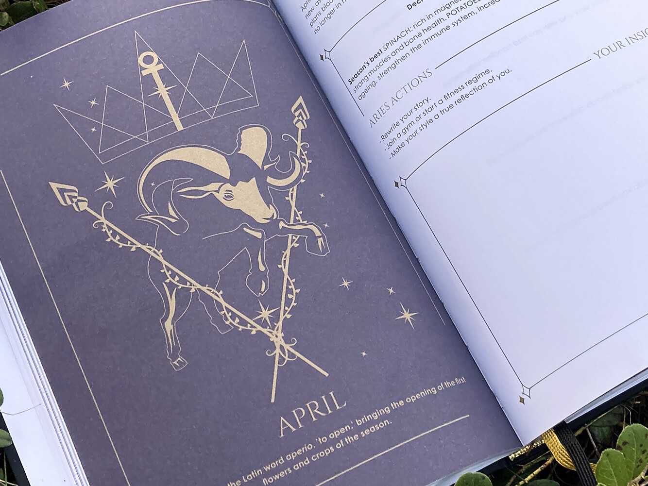 Cosmoplanner - New Moon In Aries- April 2022