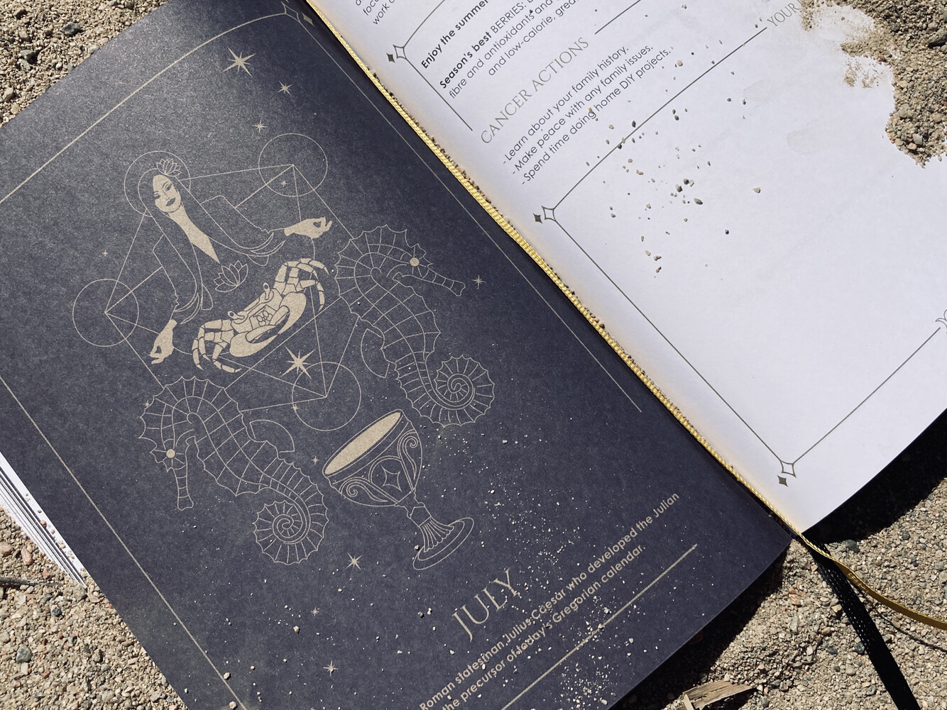 Cosmoplanner New Moon In Cancer June 2022