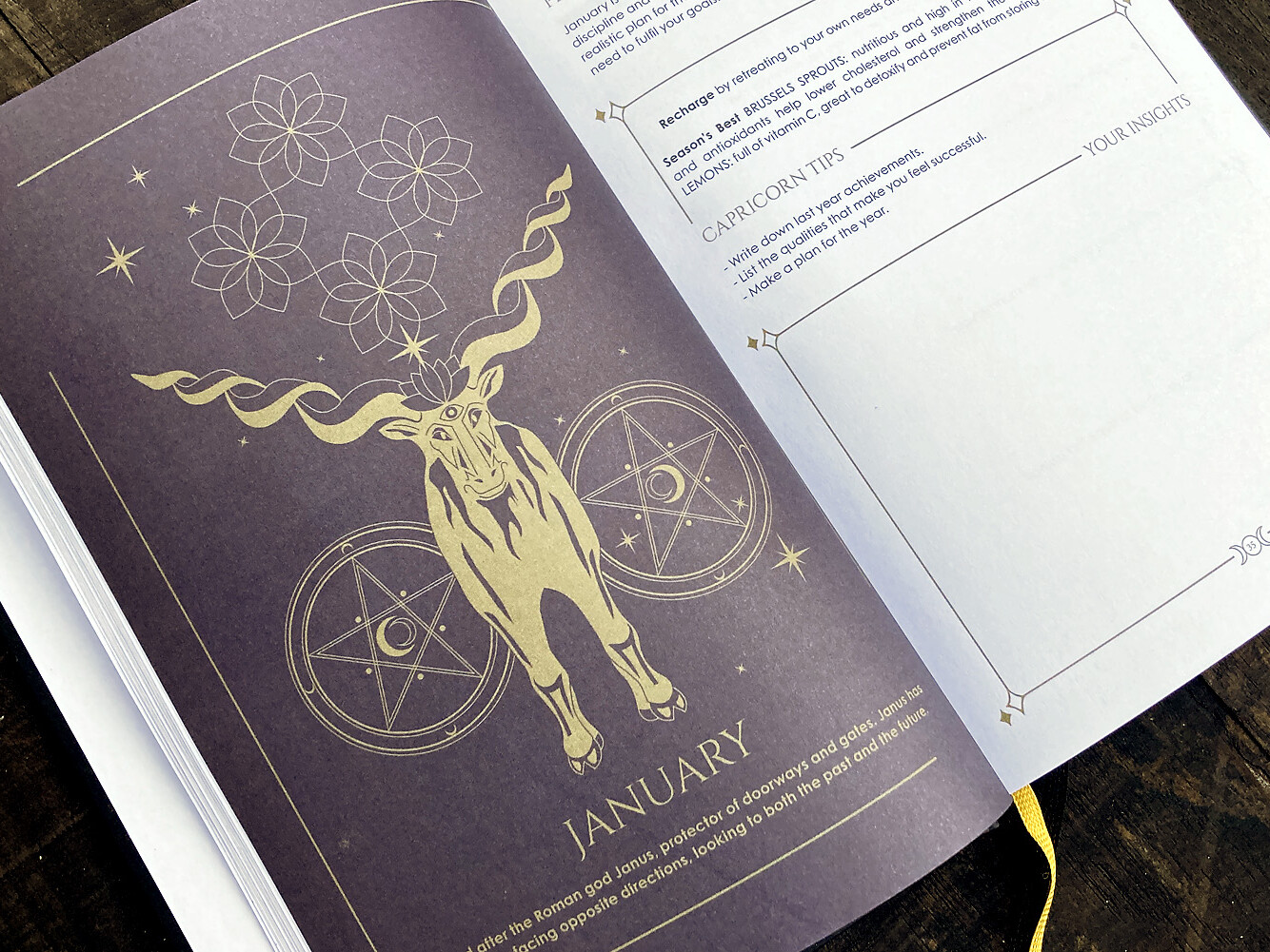 Cosmoplanner - New Moon In Capricorn - January 2022