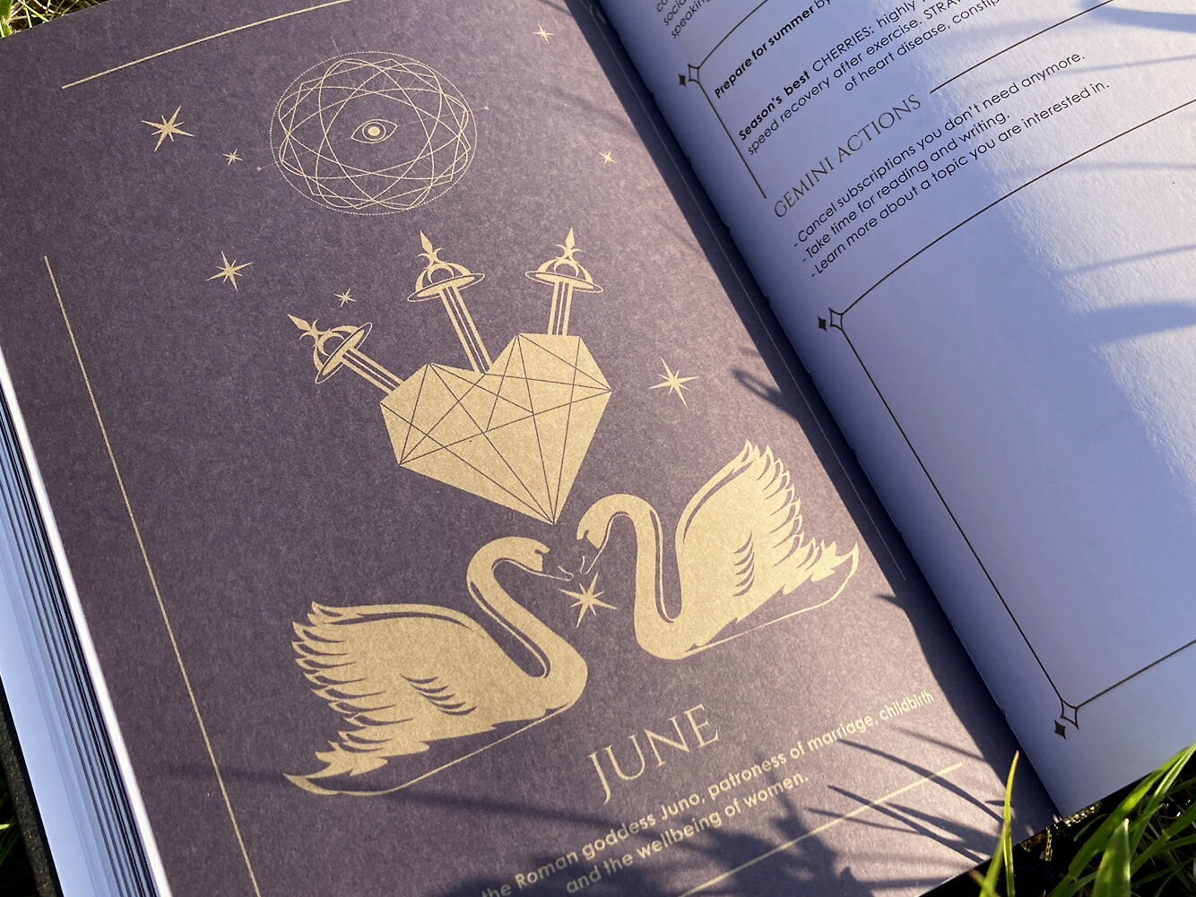 Cosmoplanner New Moon In Gemini May 2022