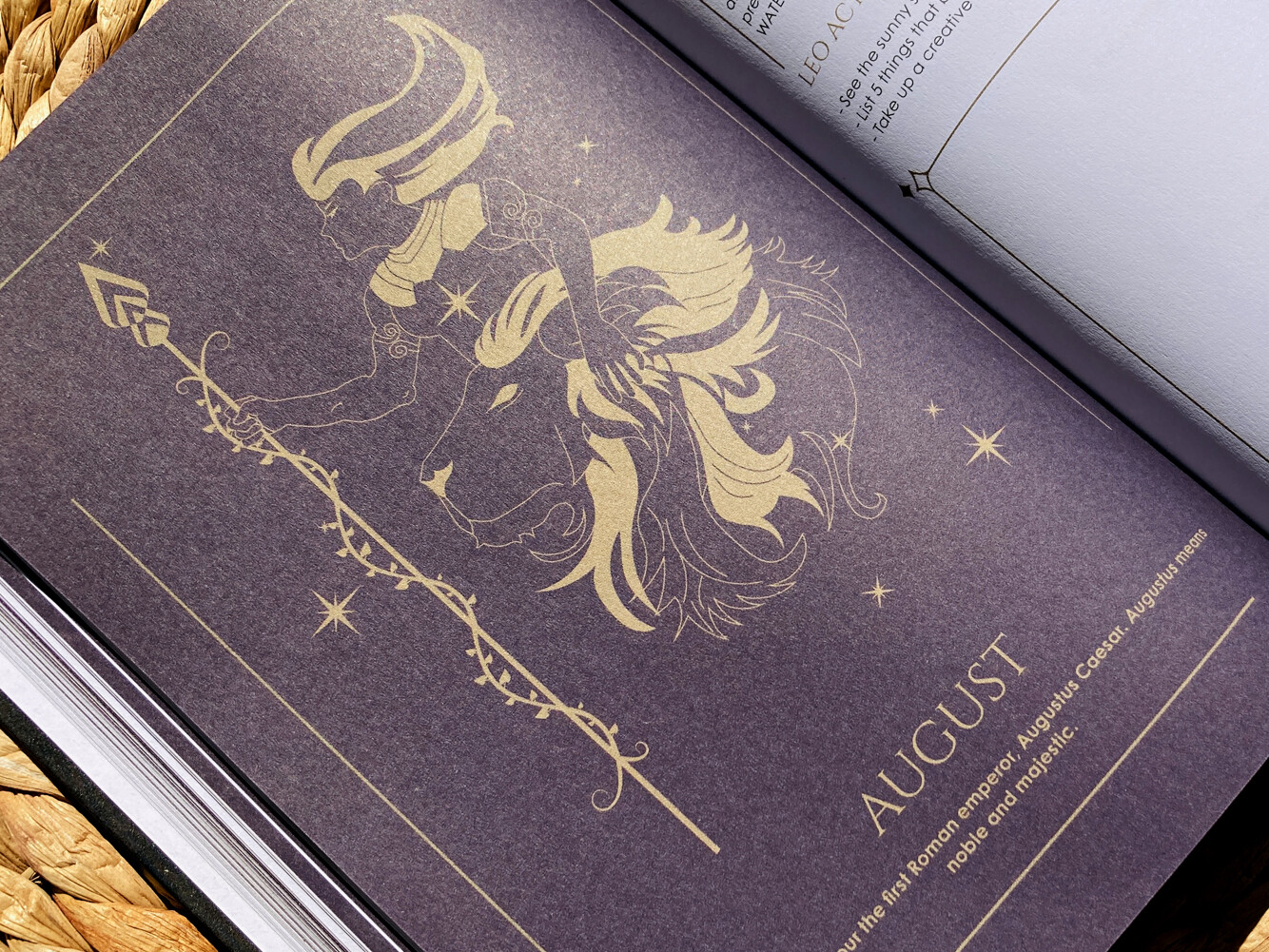 Cosmoplanner New Moon In Leo July 2022