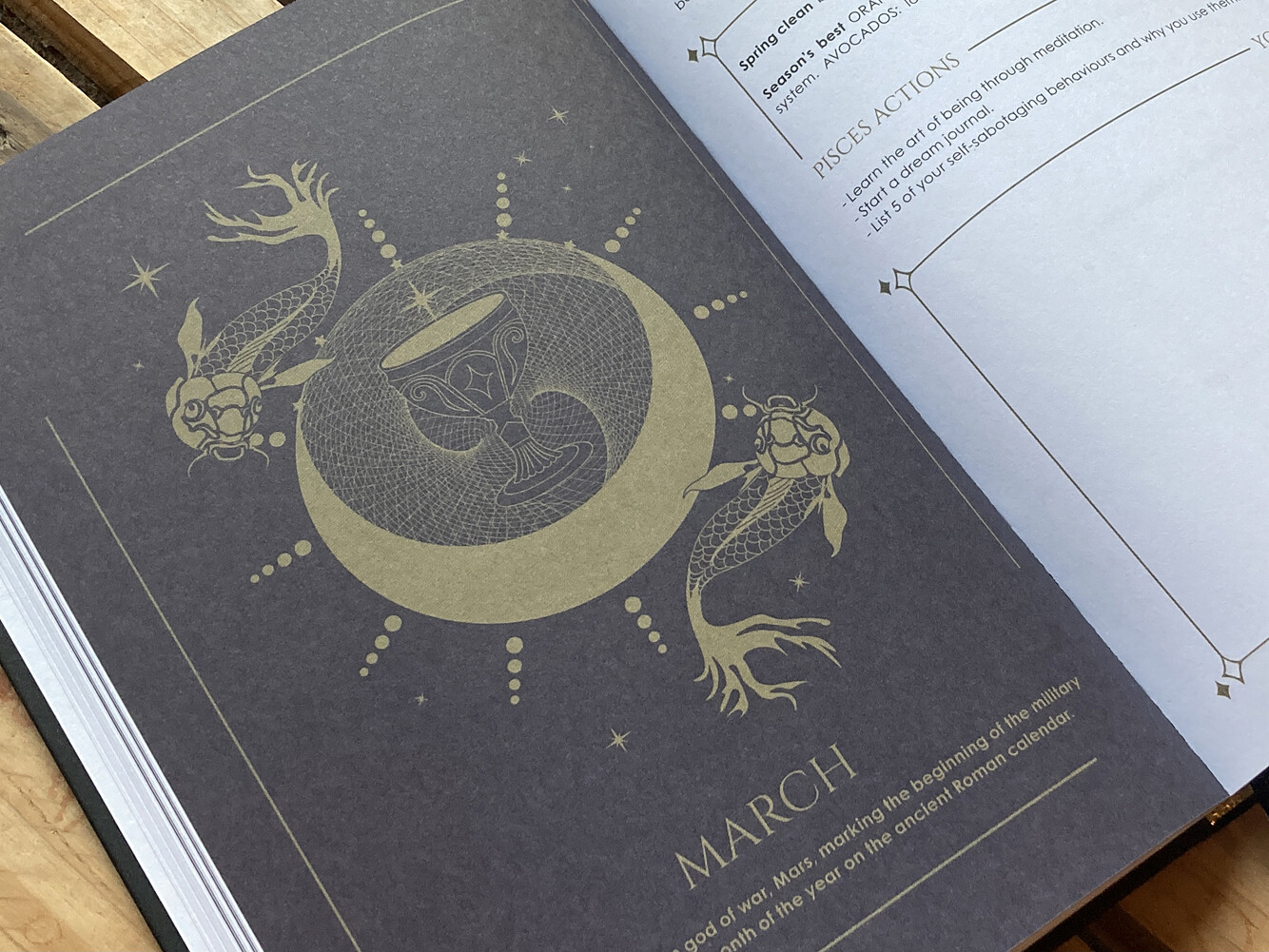 Cosmoplanner - New Moon In Pisces- March 2022