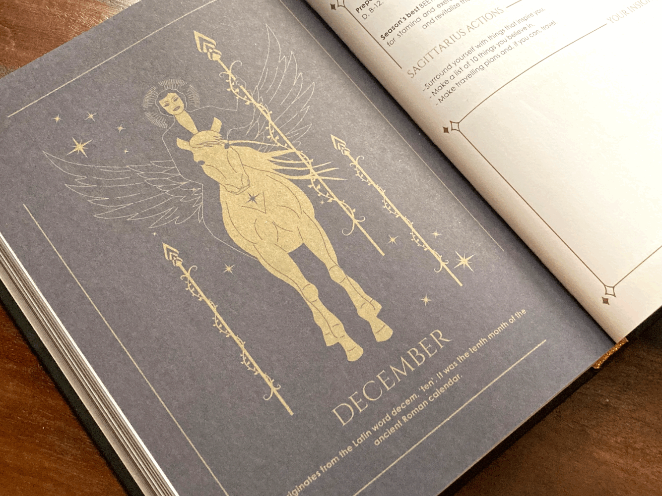Cosmoplanner New Moon in Sagittarius November 2022