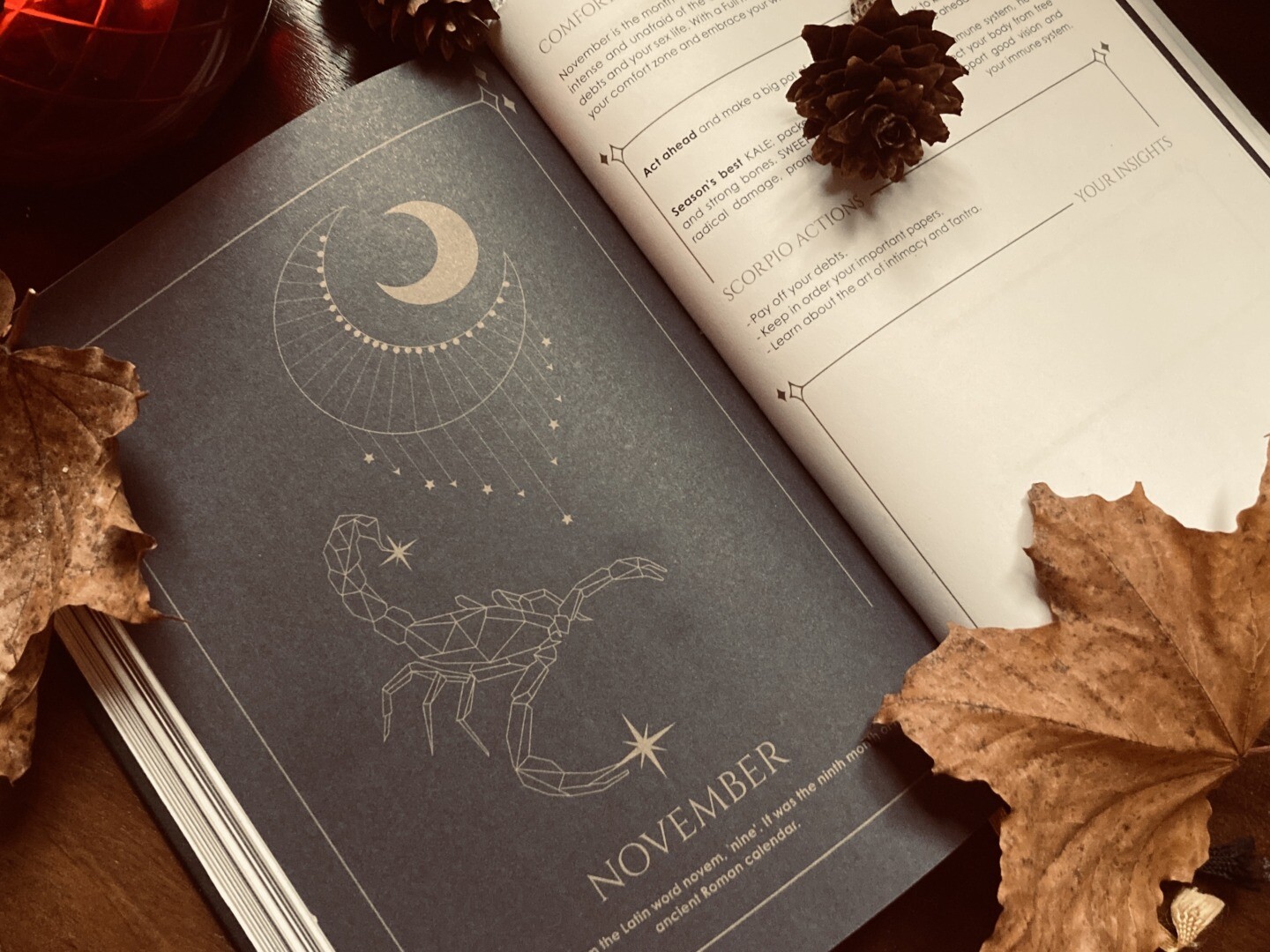 Cosmoplanner - New Moon In Scorpio - 4th November 2021