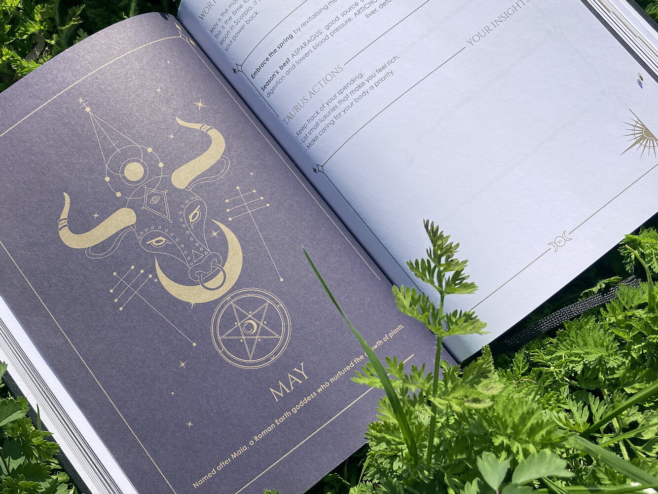 Cosmoplanner - New Moon In Taurus- April 2022