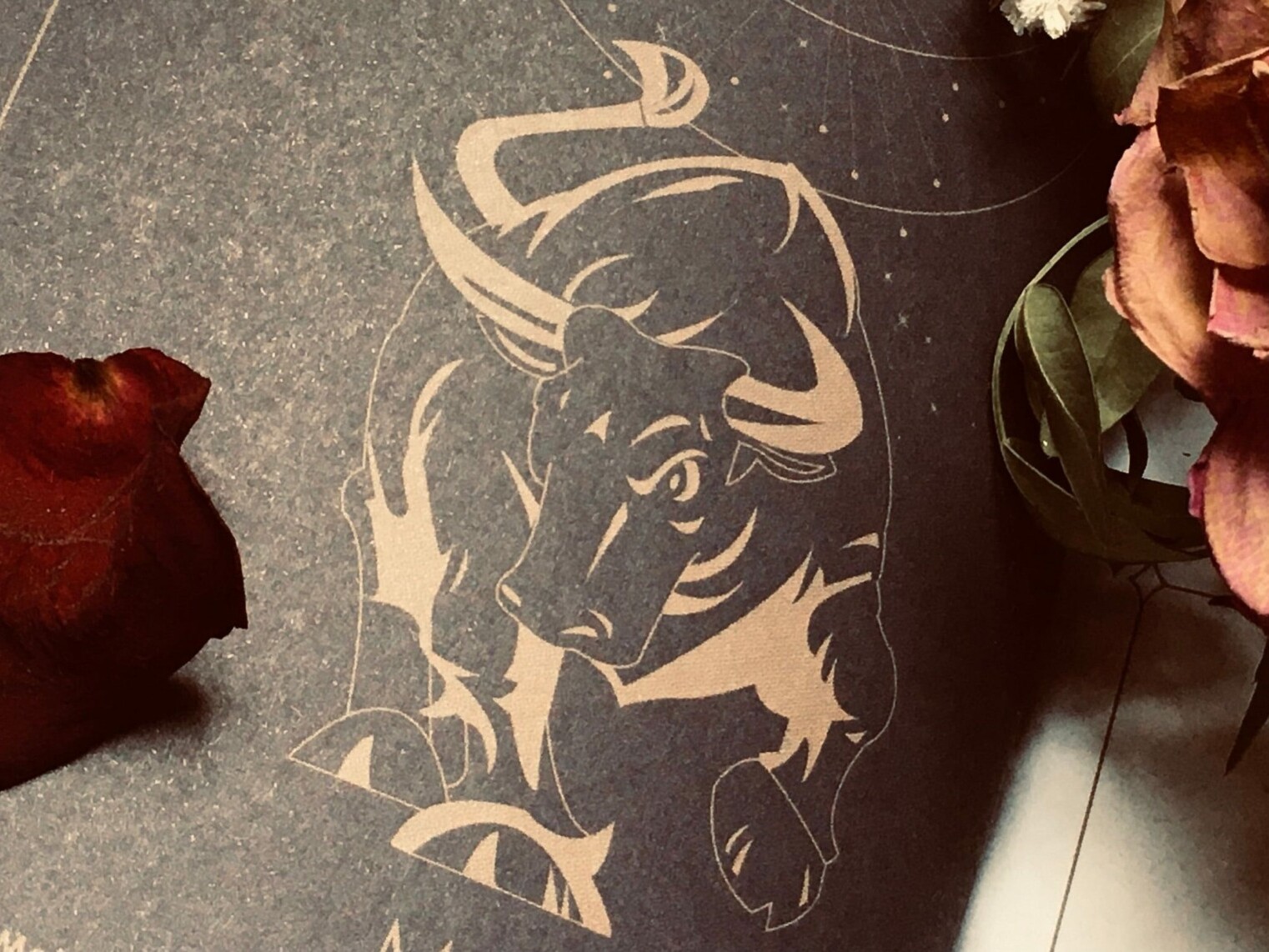 Cosmoplanner - New Moon in Taurus