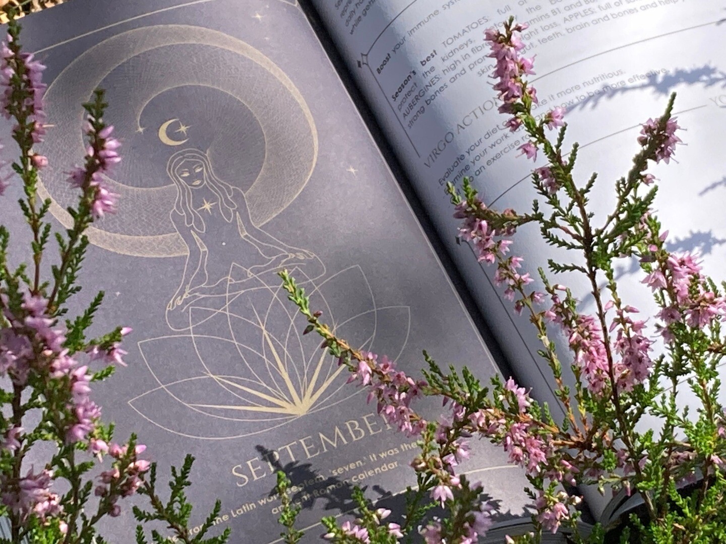 Cosmoplanner - New Moon in Virgo - 7th September 2021