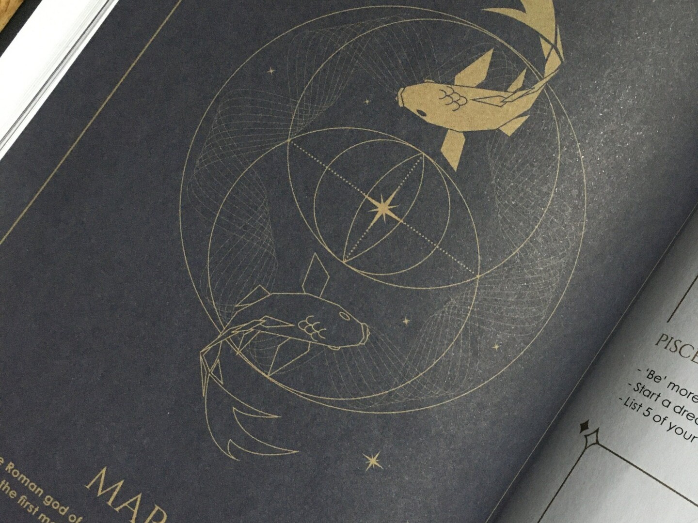 Cosmoplanner - New Moon Pisces