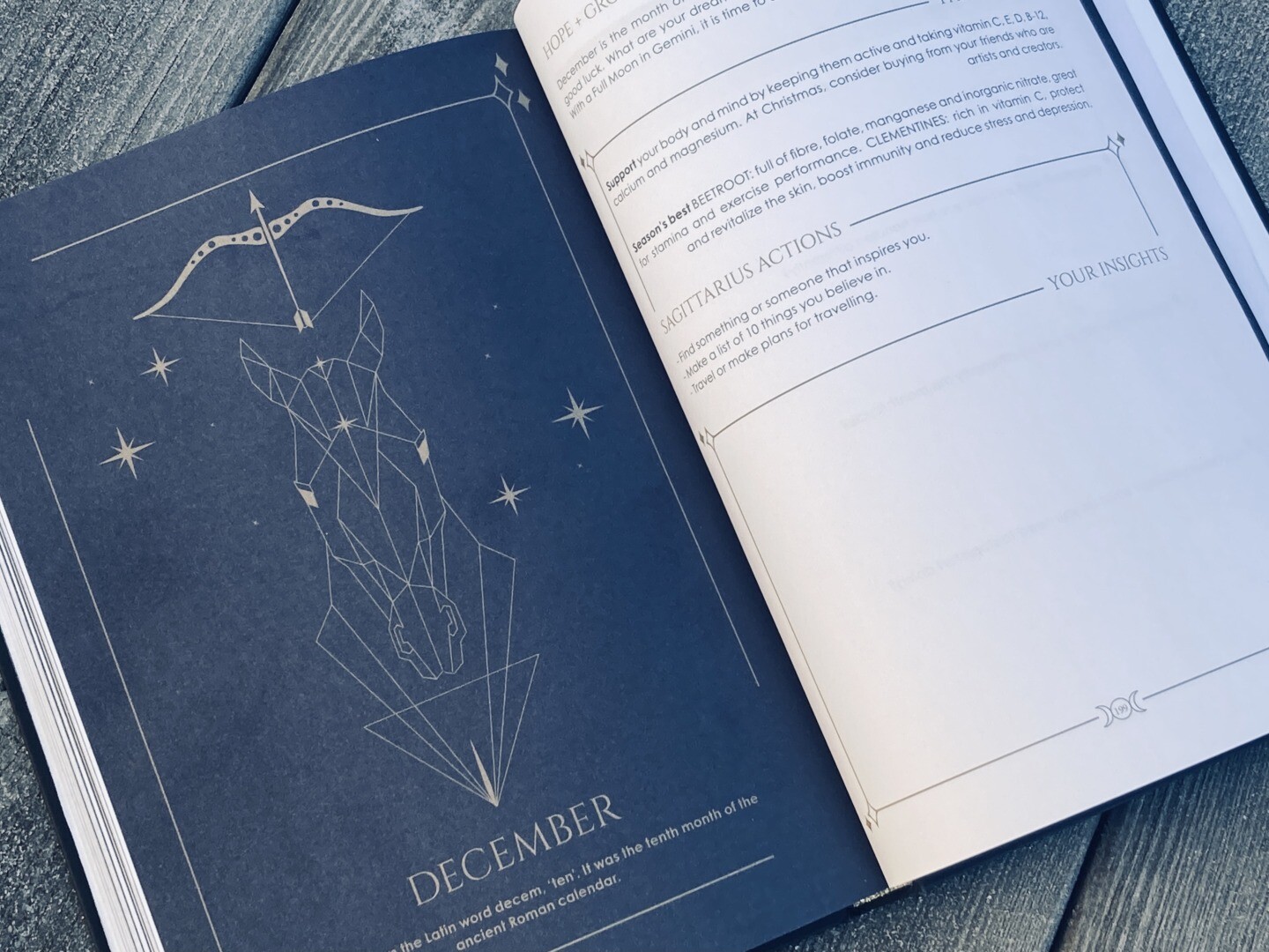 Cosmoplanner - New Moon in Sagittarius - December 2021