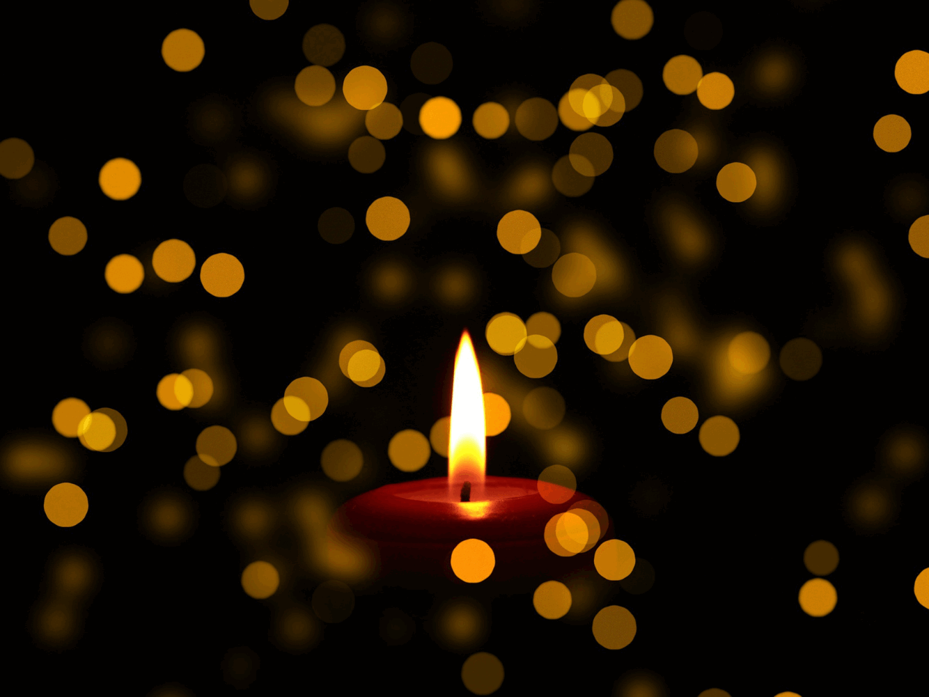 Cosmoplanner Samhain 2025 Image