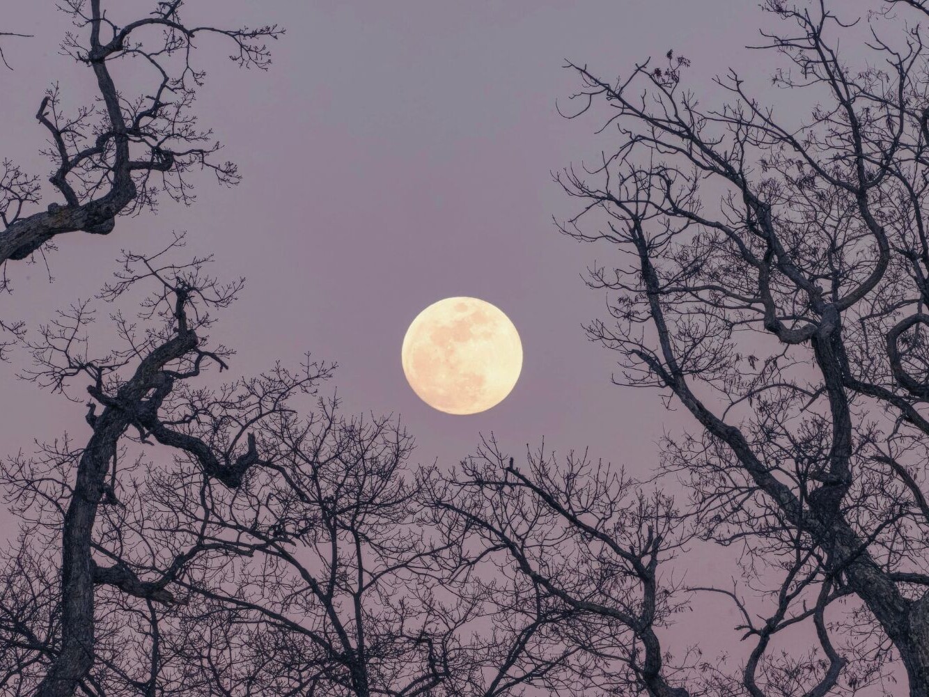 Cosmoplanner September 2026 Full Moon in Aries